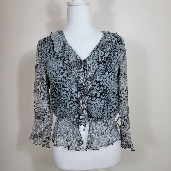 Allison Taylor Fairy Whimsy Silk Blouse M Black Dark Floral Ruffle Romantic Boho - Picture 1 of 7